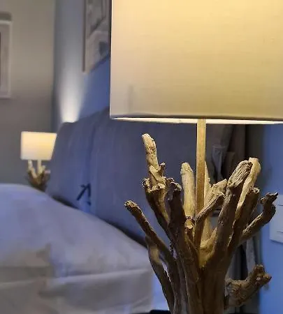 Carducci 公寓 维亚雷焦